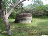 Hombre de Puerto Ferro - VIEQUES